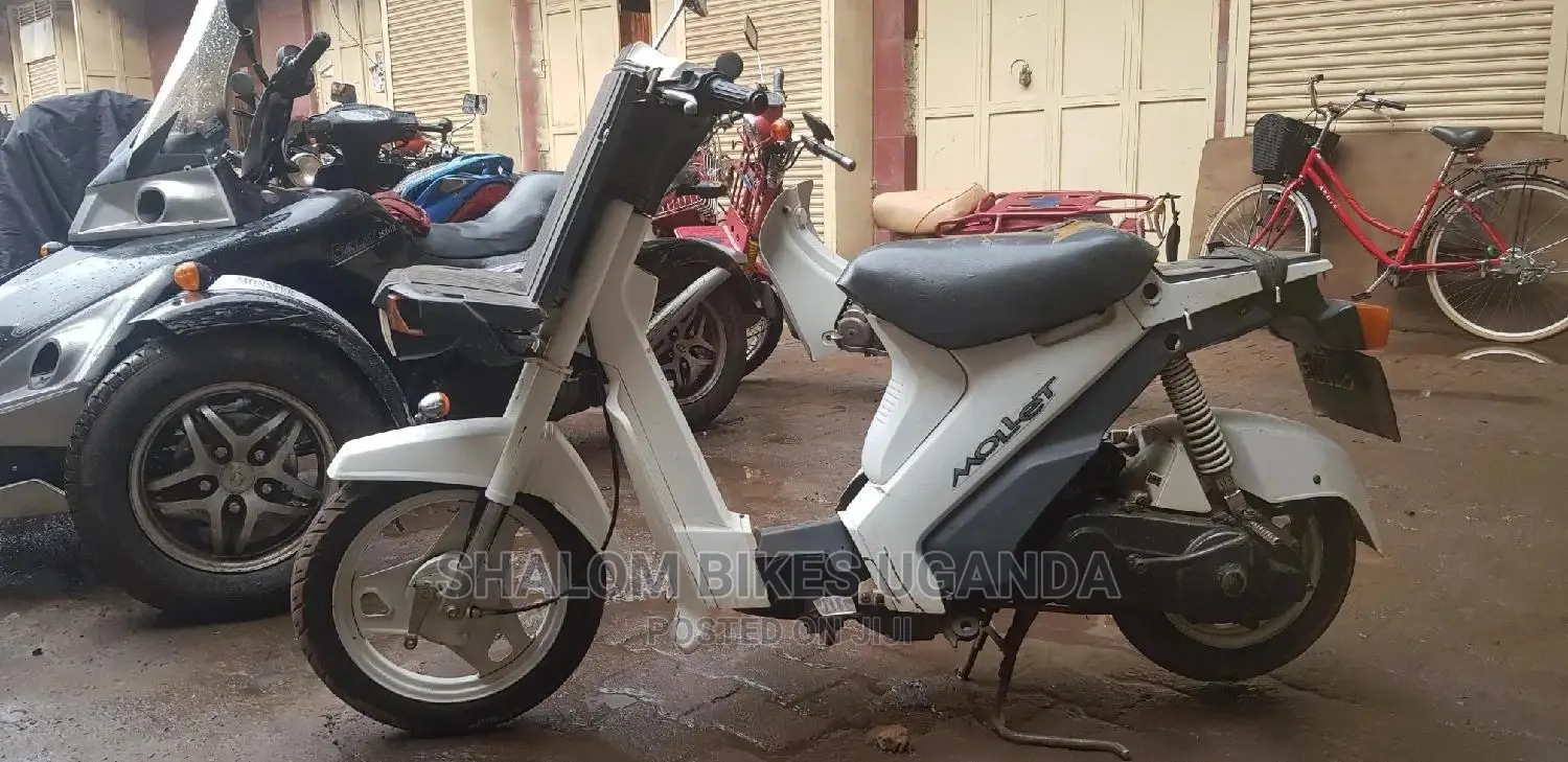 Suzuki GSX / Katana 2015 White