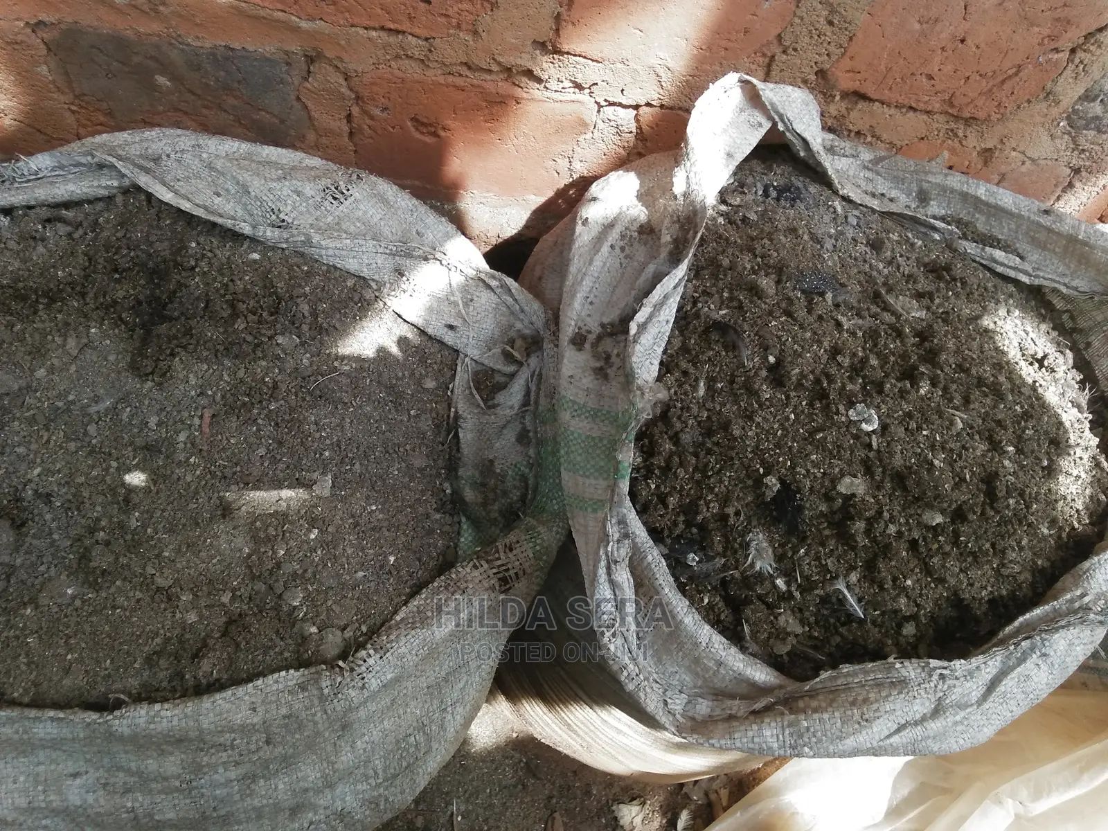 Chicken Manure