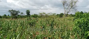 3acres for Sale in Wabutungulu