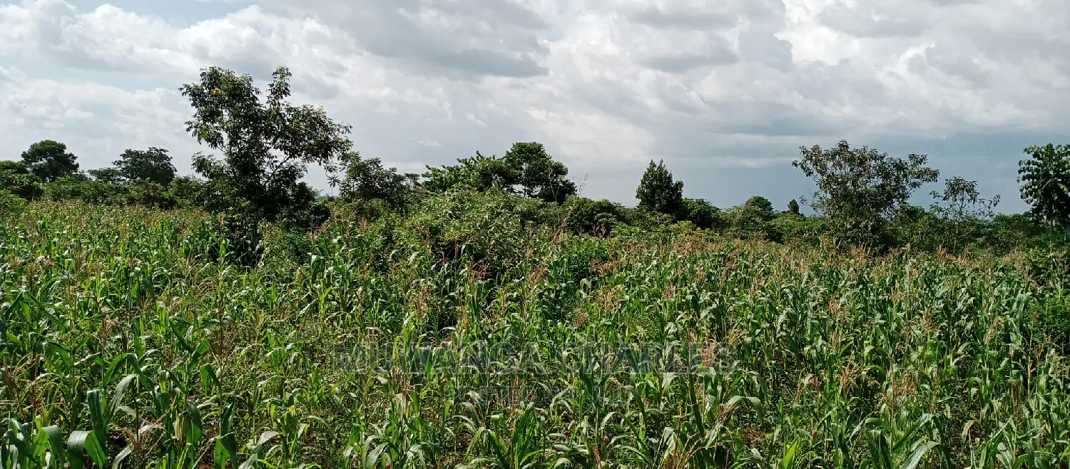 3acres for Sale in Wabutungulu