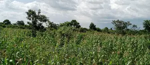 3acres for Sale in Wabutungulu