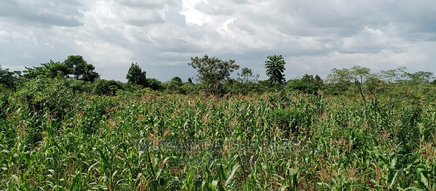 3acres for Sale in Wabutungulu
