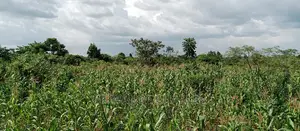 3acres for Sale in Wabutungulu