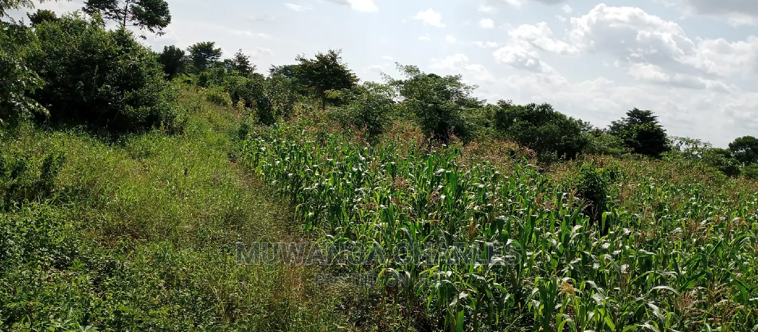 3acres for Sale in Wabutungulu