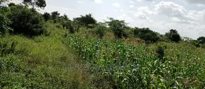 3acres for Sale in Wabutungulu