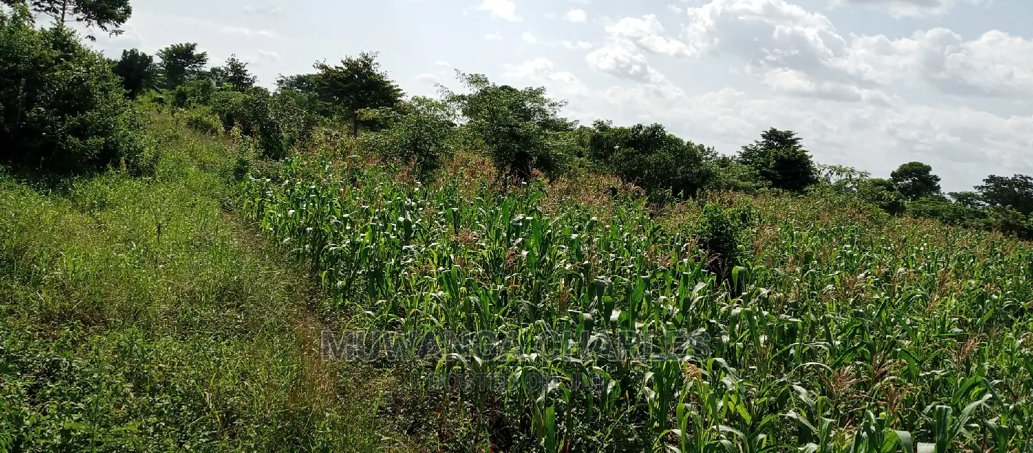 3acres for Sale in Wabutungulu