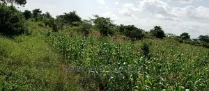 3acres for Sale in Wabutungulu