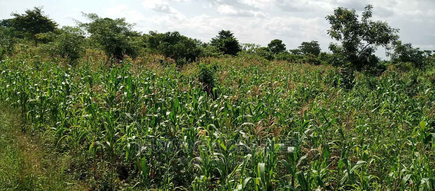 3acres for Sale in Wabutungulu
