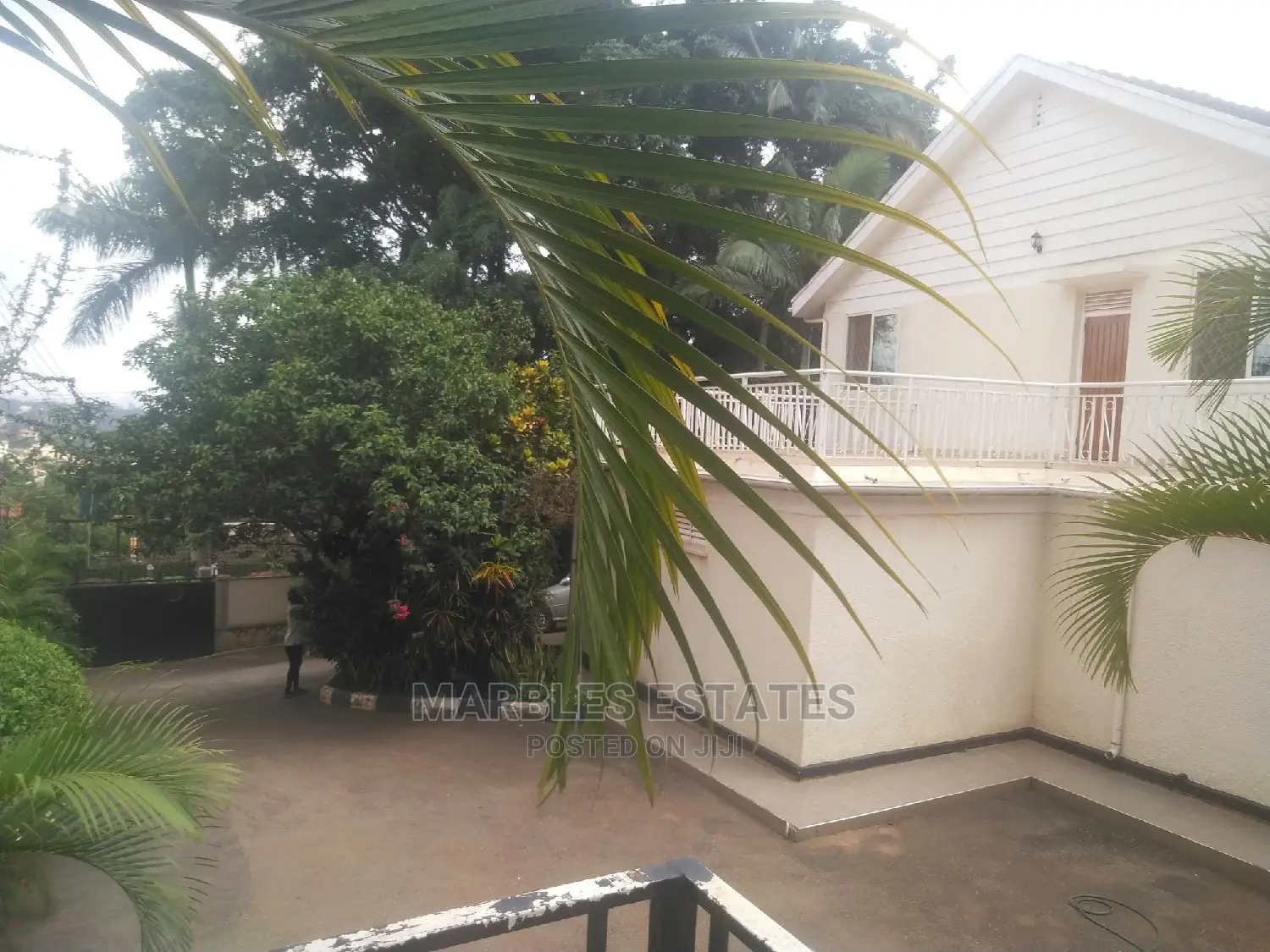 5bdrm House in Naguru, Central Division for Rent