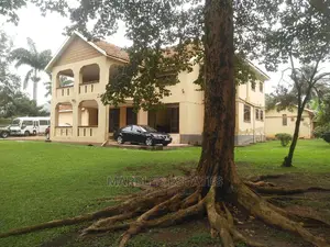 7bdrm House in Bugolobi, Central Division for Rent
