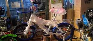 Kids Bikes