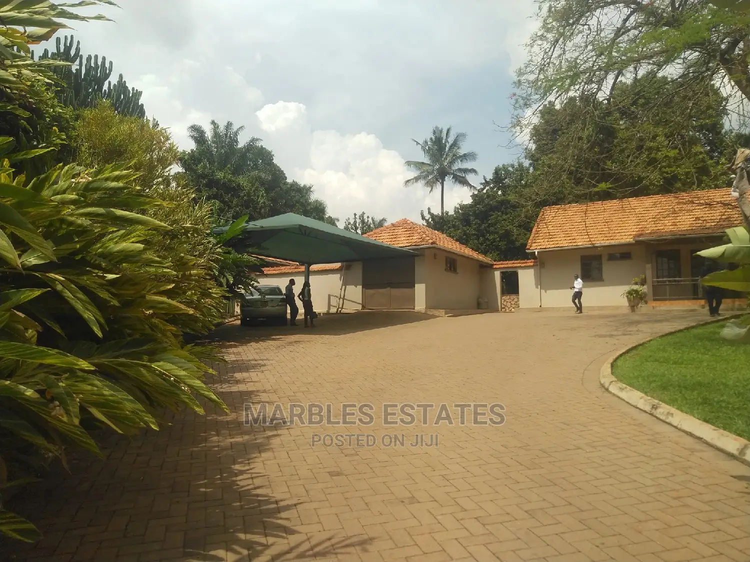 4bdrm House in Kololo, Central Division for Rent