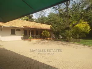 4bdrm House in Kololo, Central Division for Rent