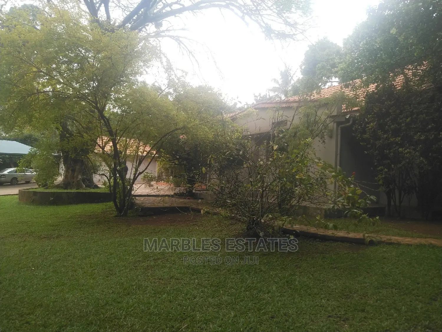4bdrm House in Kololo, Central Division for Rent