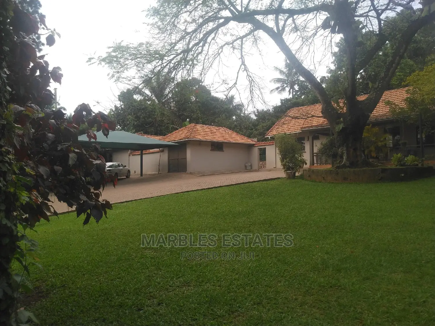 4bdrm House in Kololo, Central Division for Rent