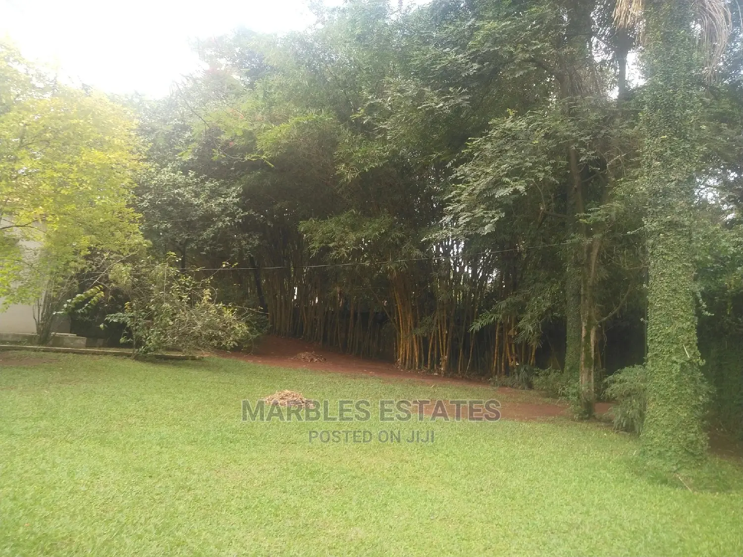4bdrm House in Kololo, Central Division for Rent