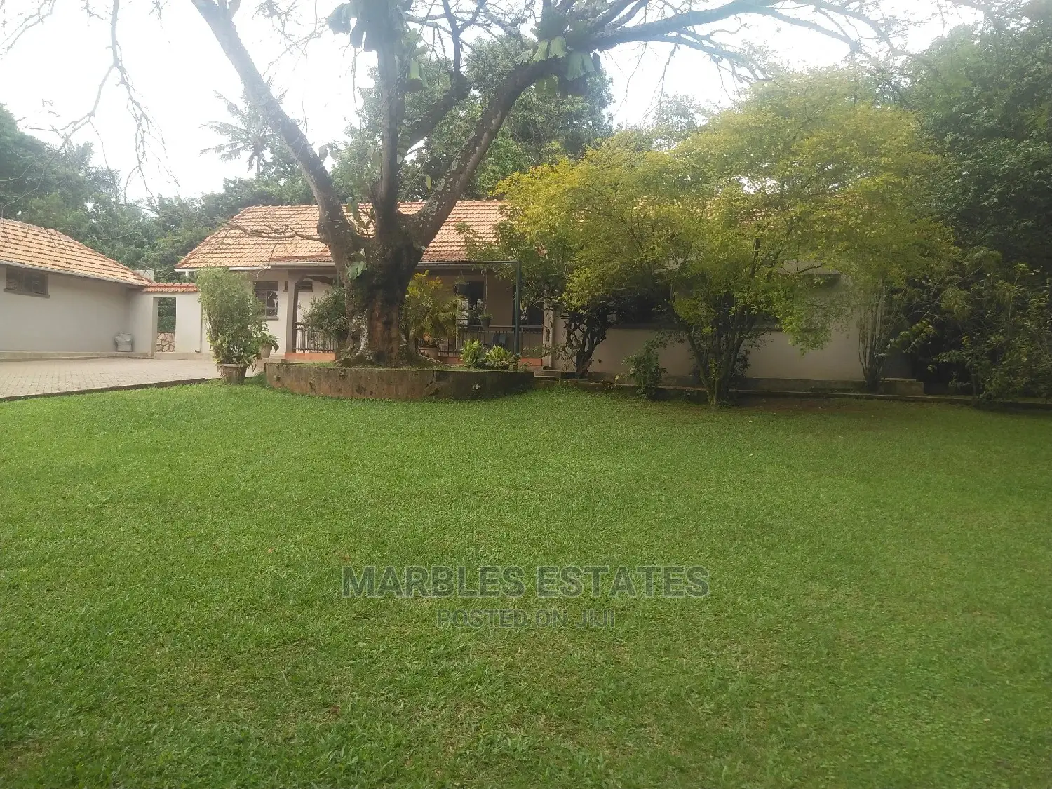 4bdrm House in Kololo, Central Division for Rent