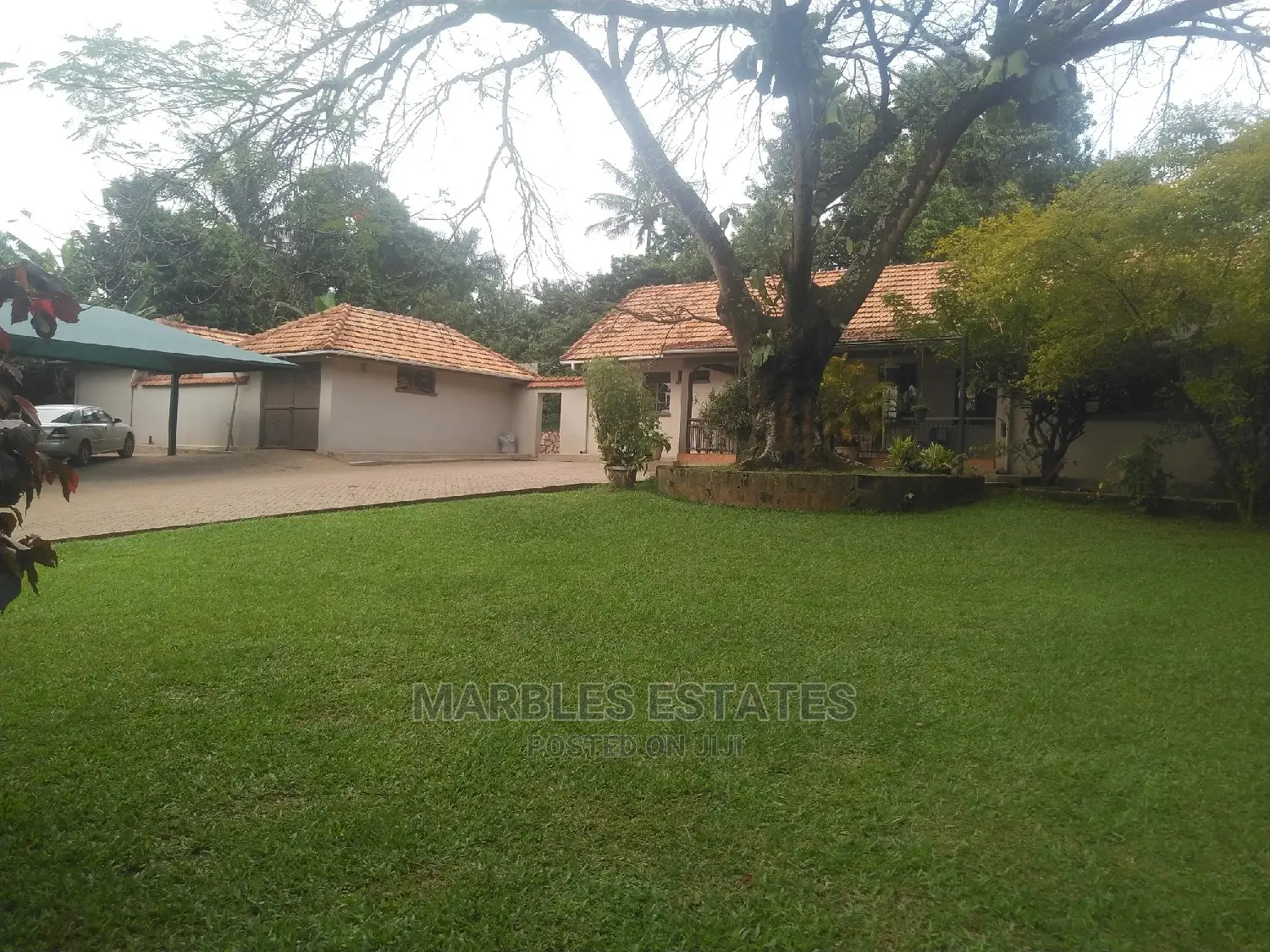 4bdrm House in Kololo, Central Division for Rent
