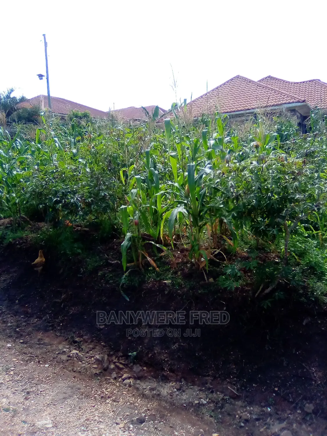 50/100 Plot for Sale in Nsasa Estate