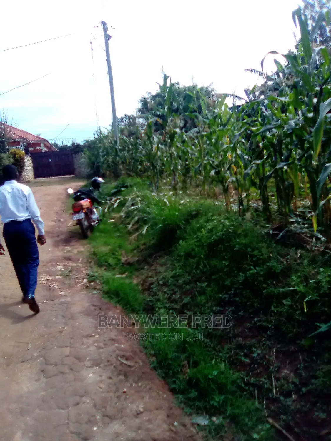 50/100 Plot for Sale in Kira