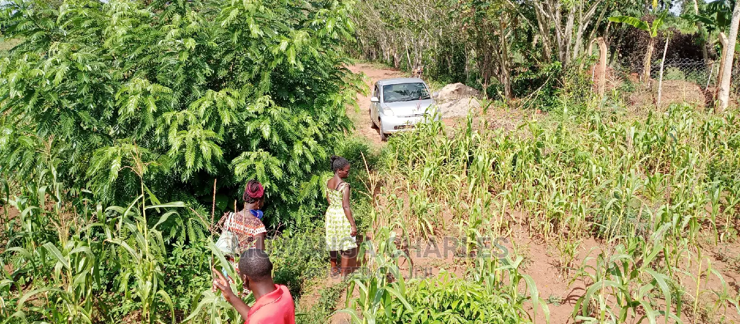 5acres for Sale in Zirobwe
