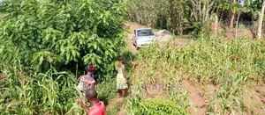 5acres for Sale in Zirobwe