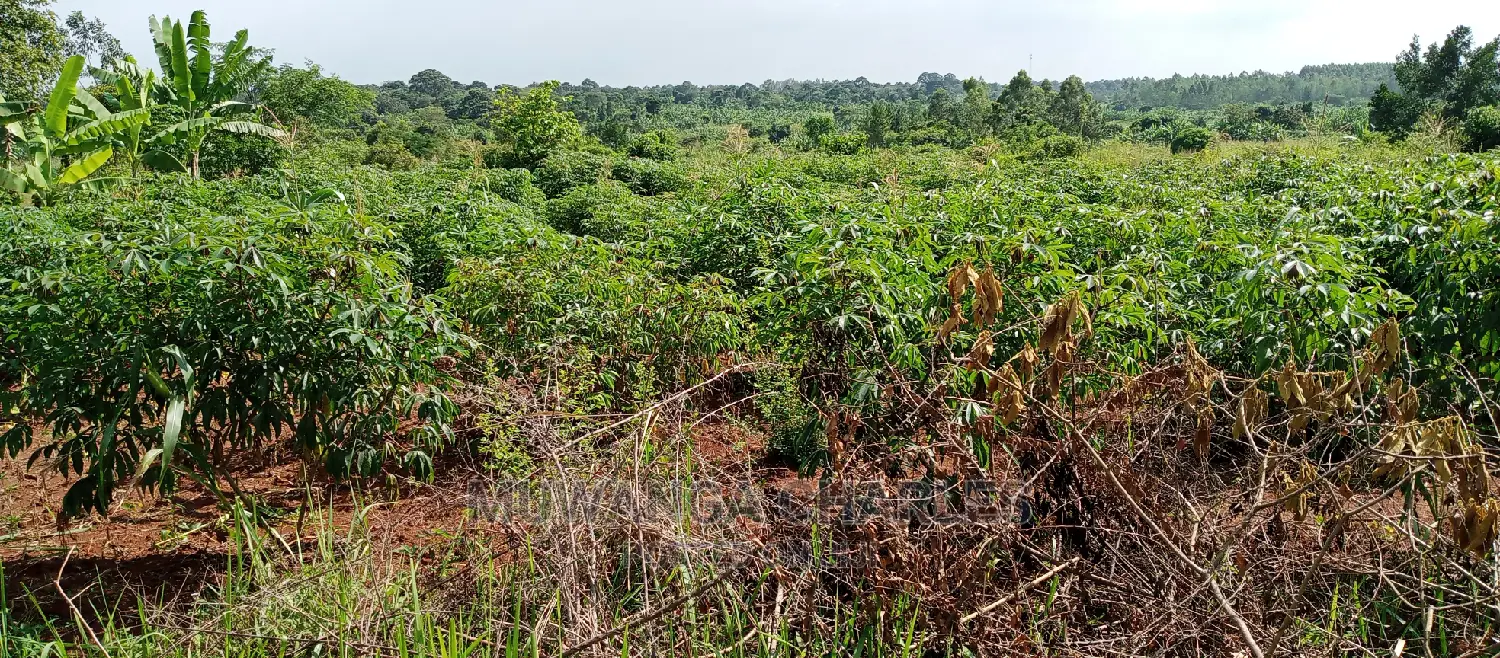 5acres for Sale in Zirobwe