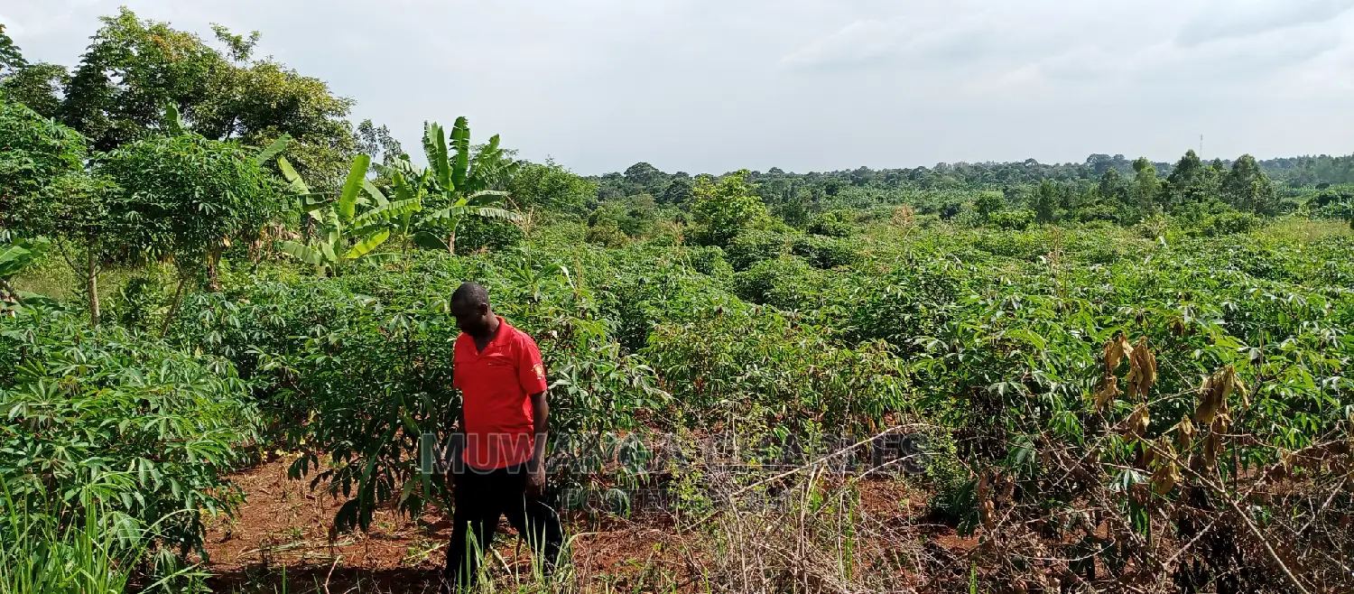 5acres for Sale in Zirobwe