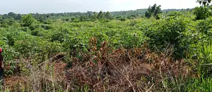 5acres for Sale in Zirobwe