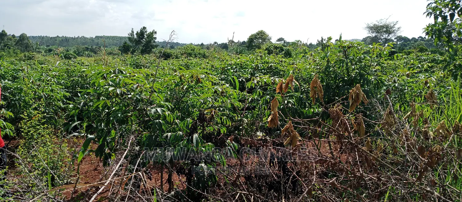 5acres for Sale in Zirobwe