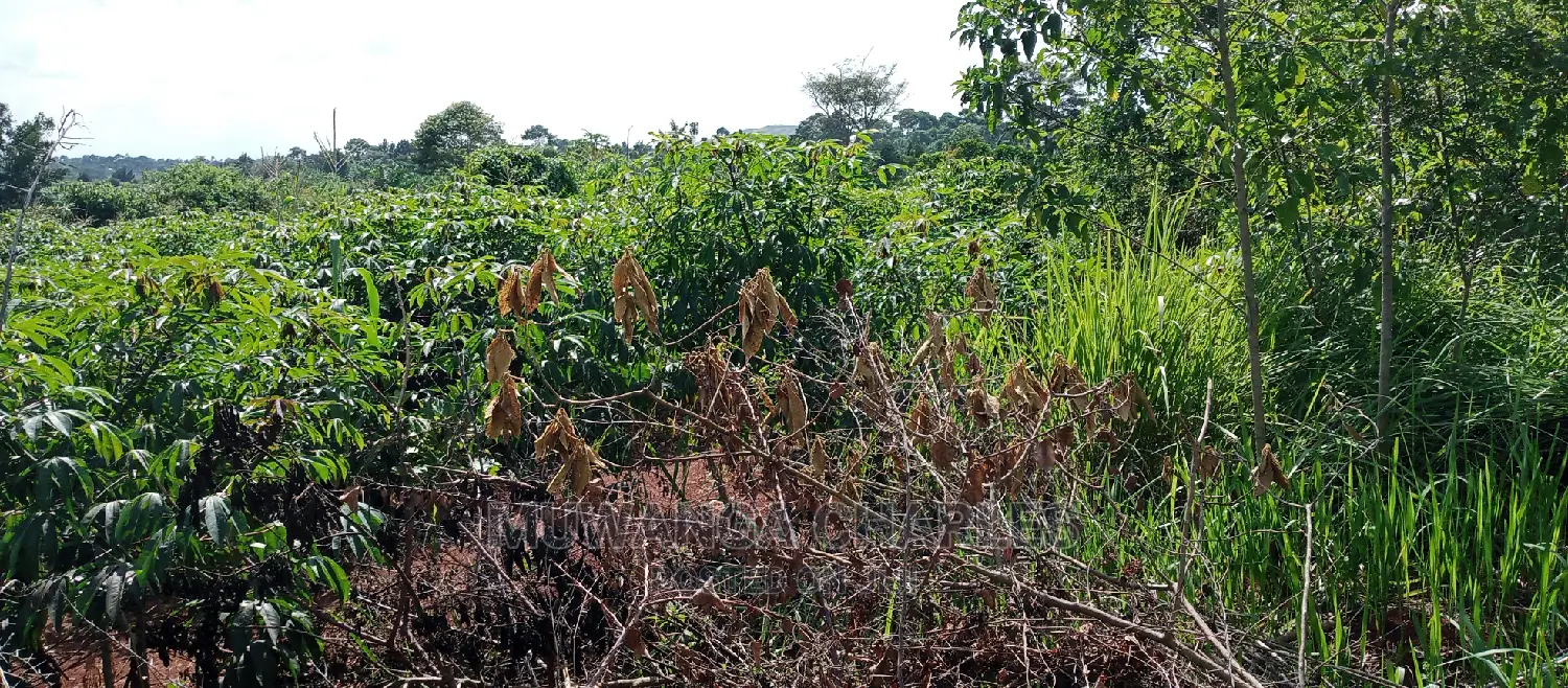 5acres for Sale in Zirobwe