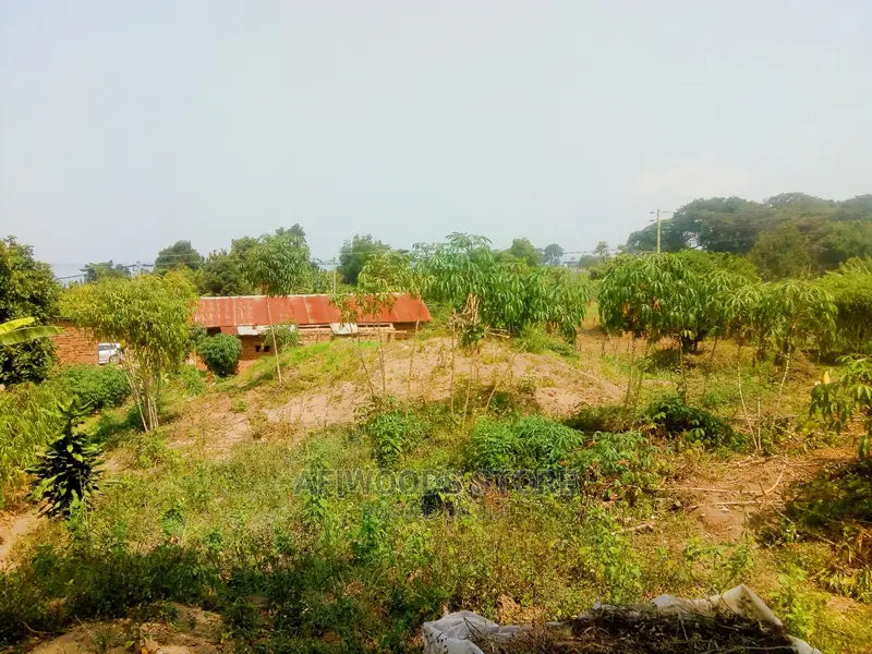 Residential Land for Sale in Kigungu Entebbe 70 Decimals Tit