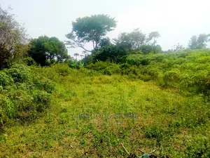 Residential Land for Sale in Kigungu Entebbe 70 Decimals Tit