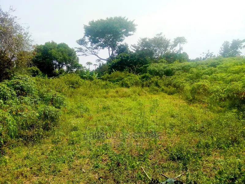 Residential Land for Sale in Kigungu Entebbe 70 Decimals Tit