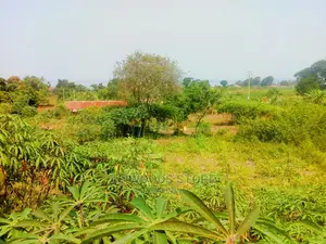 Residential Land for Sale in Kigungu Entebbe 70 Decimals Tit