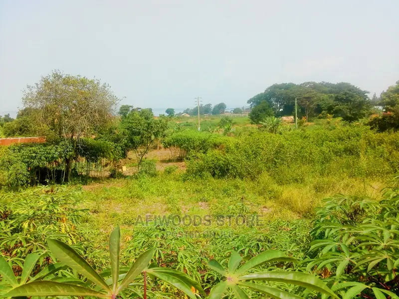 Residential Land for Sale in Kigungu Entebbe 70 Decimals Tit