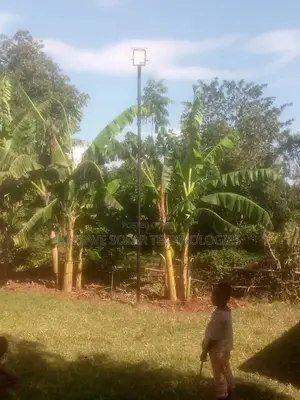 300w Solar Street Light