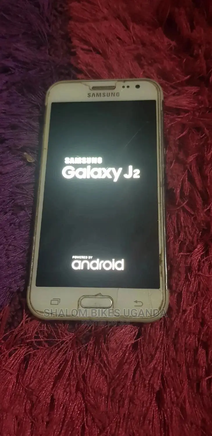 Samsung Galaxy J2 8 GB Silver