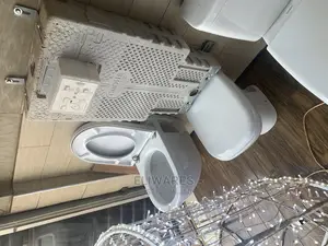 Wall Hung Concealed Toilets
