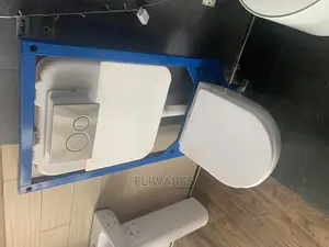 Wall Hung Concealed Toilets