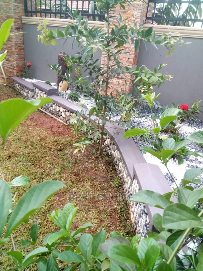 Fabolous Compound Designing and Land Scarping Services.