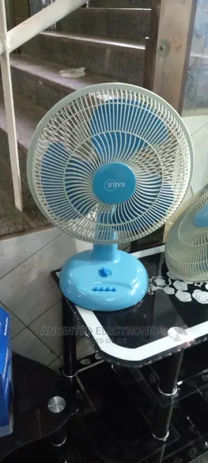 Table Blue Fans