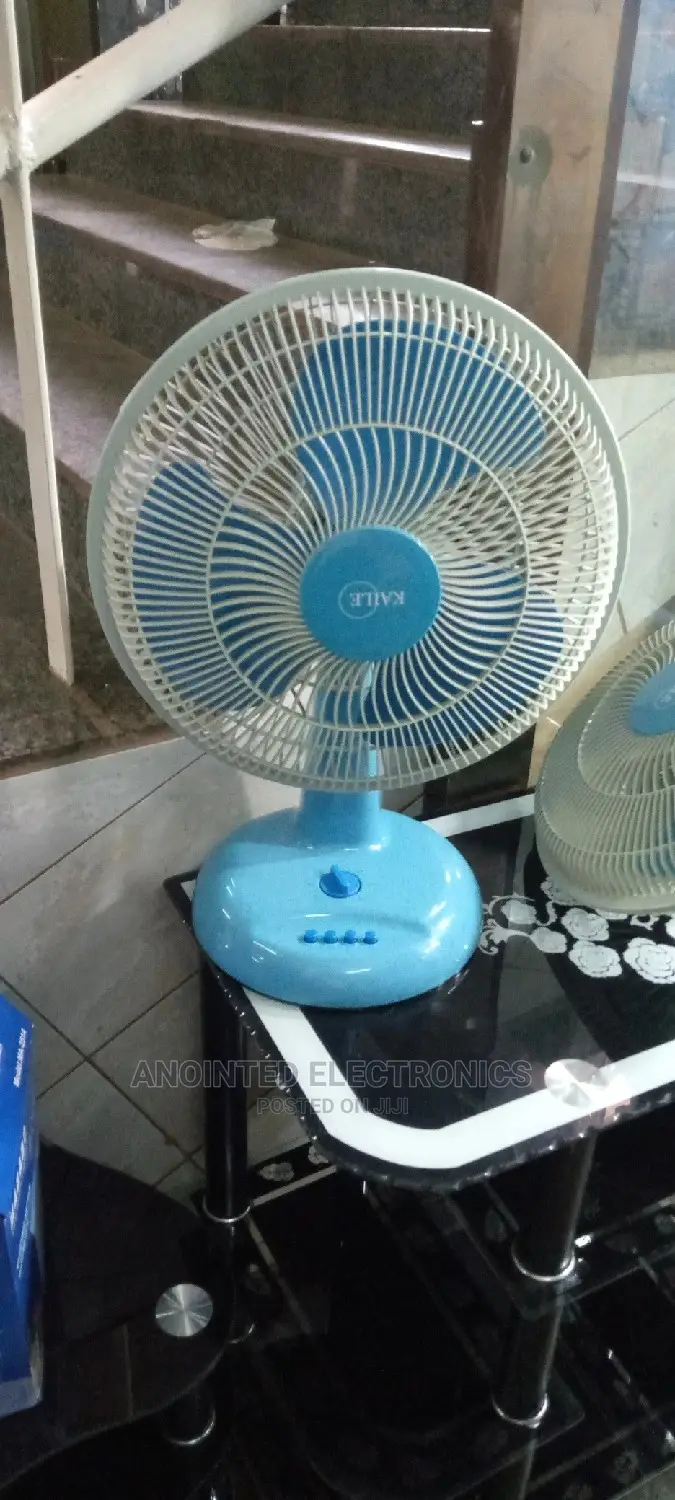 Table Blue Fans