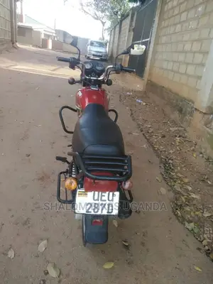 TVS Zeppelin 220 2019 Red