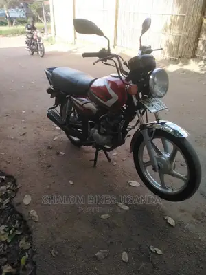 TVS Zeppelin 220 2019 Red