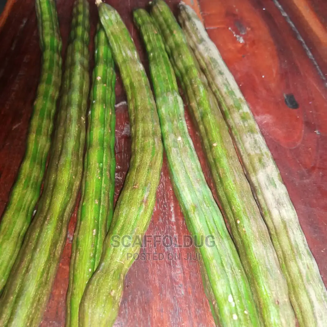 Moringa Drumsticks
