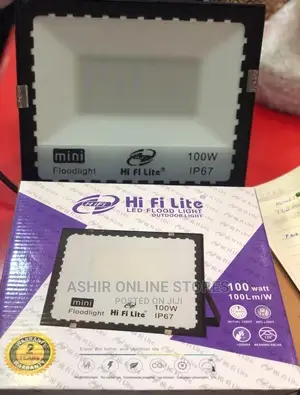 100 Watts Mini Flood Light