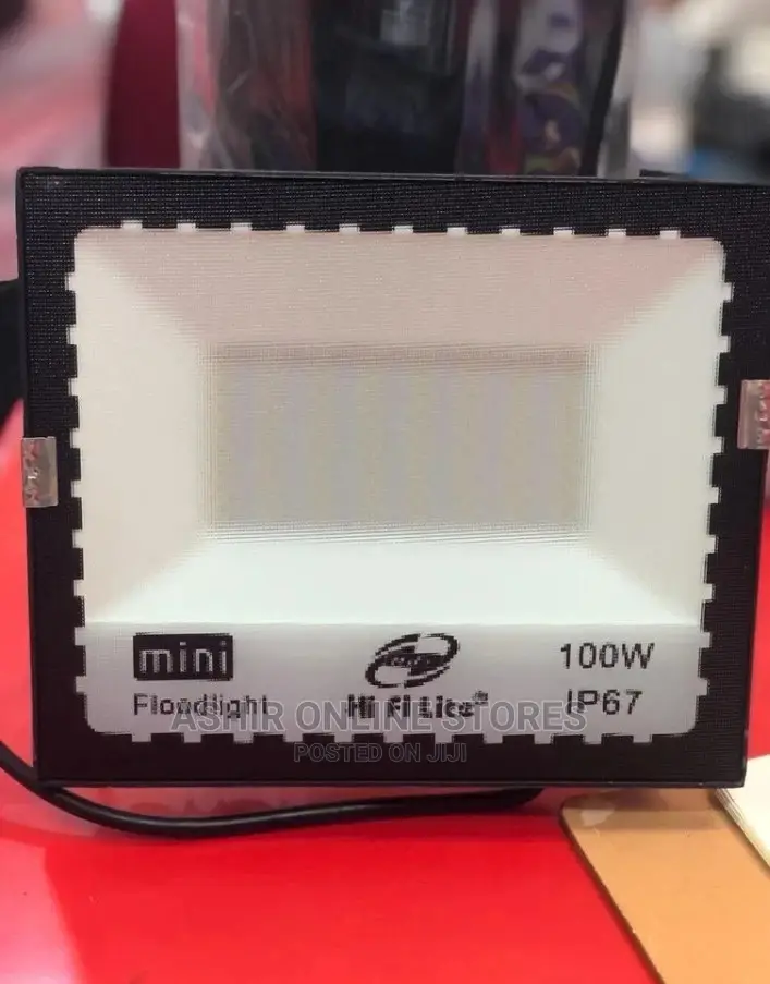 100 Watts Mini Flood Light