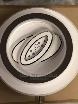 Designed Ceiling Lamp
