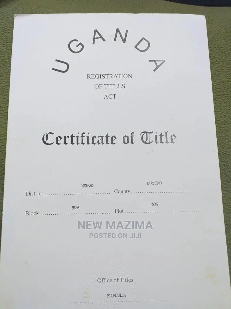 Very Prime 100 Ft X 100 Ft With Ready Title on Sale Kasanje